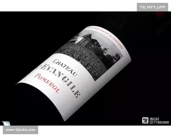 帕克传奇与法国篮球的深厚渊源及其影响力全解析